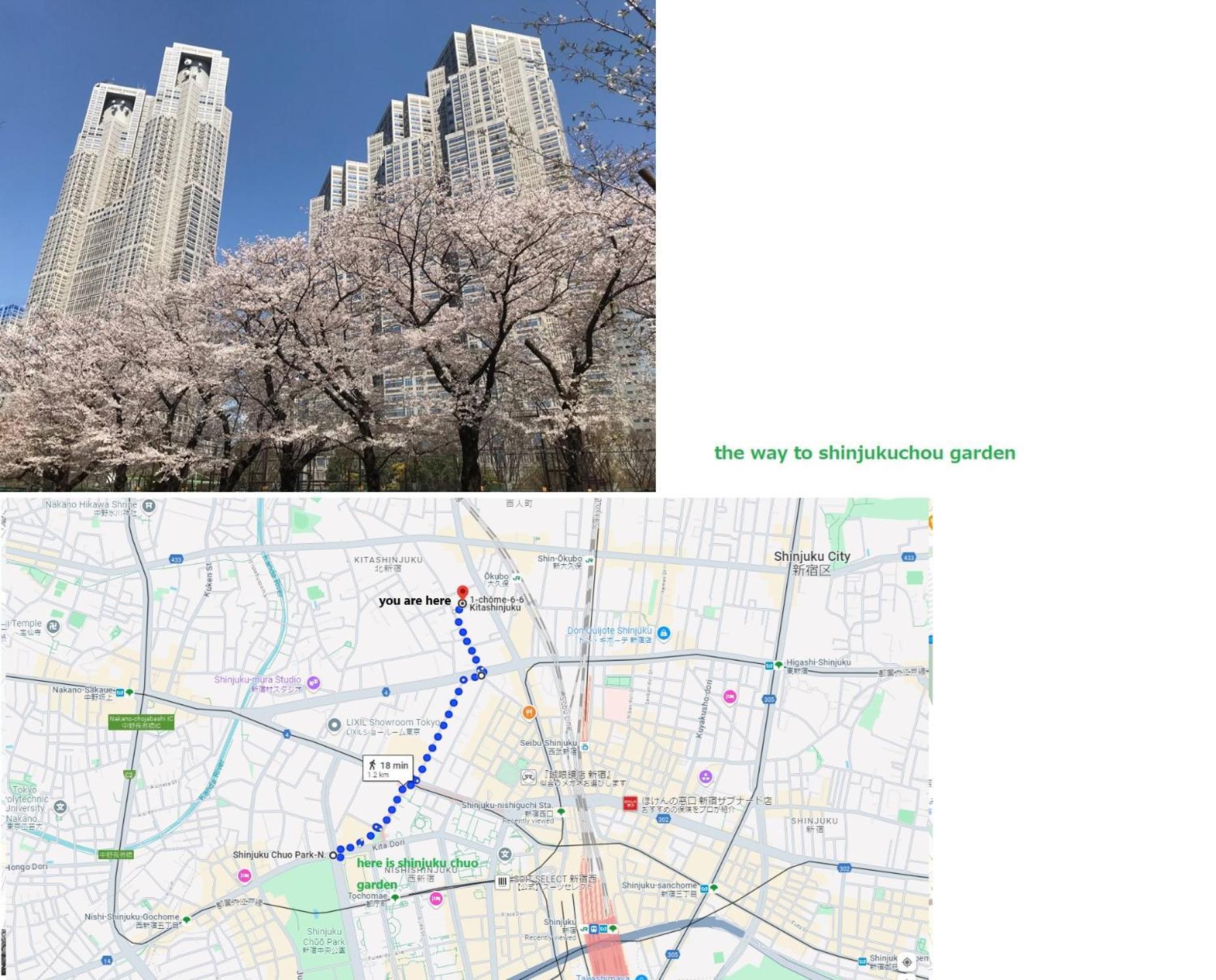 大久保駅から４分、貸切、韓国ダウン至近、新宿/歌舞伎町に徒歩圏内 、단독사용민박 Tokyo Eksteriør billede